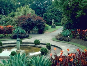 Blog - Generic - Sydney Botanic Gardens [HD]