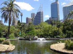 Blog - Generic - Sydney Botanic Gardens [HD]